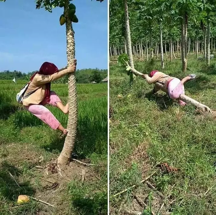 momen apes emak-emak © Berbagai sumber