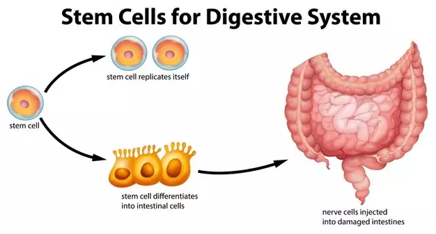 Semangka untuk kesehatan © 2020 brilio.net