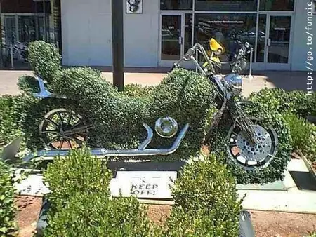 roda motor absurd Berbagai sumber