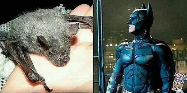 ilustrasi superhero absurd Instagram ilustrasi superhero absurd Instagram