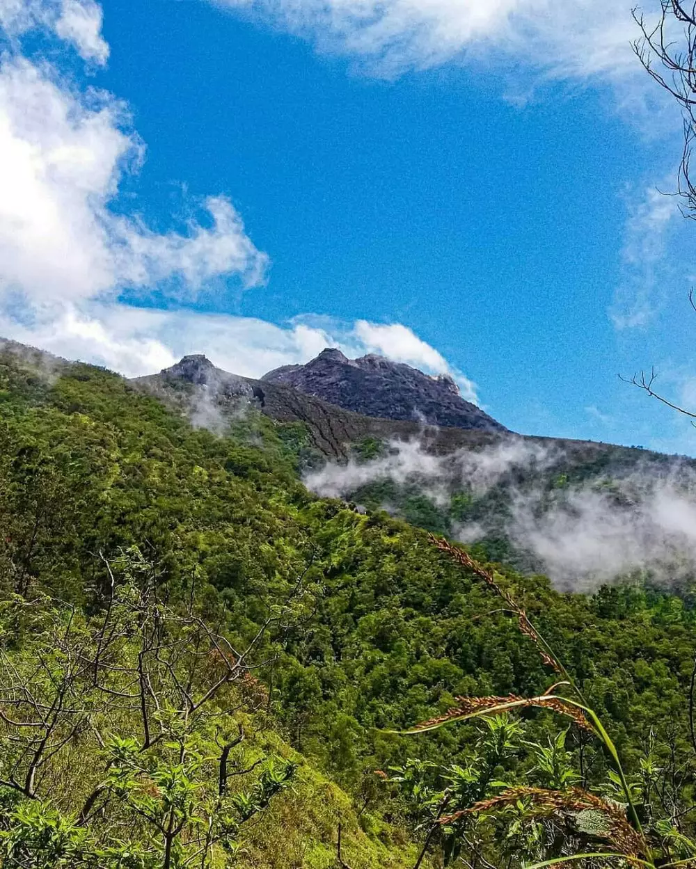 7 kabar terbaru merapi © Instagram