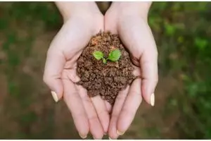 40 Kata-kata bijak tentang merawat bumi, bisa jadi pengingat diri