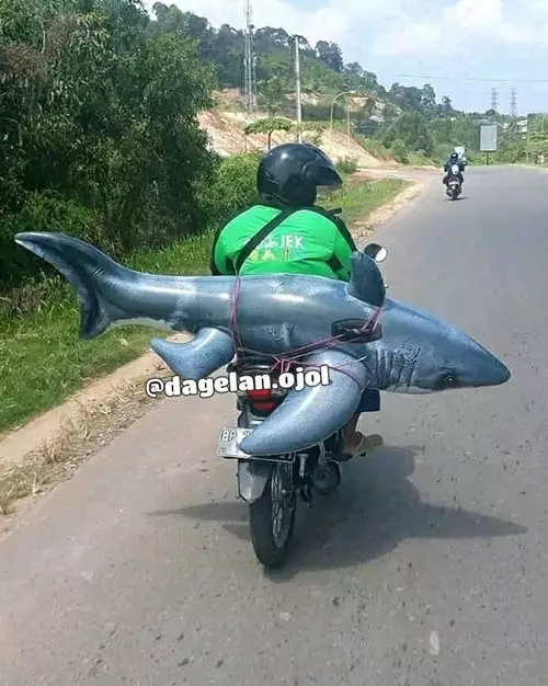 driver ojek online bawa mainan © 2020 brilio.net