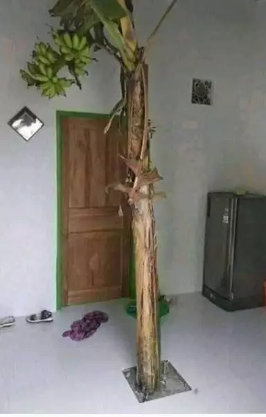 10 Meme kreatif akibat kelamaan WFH istimewa