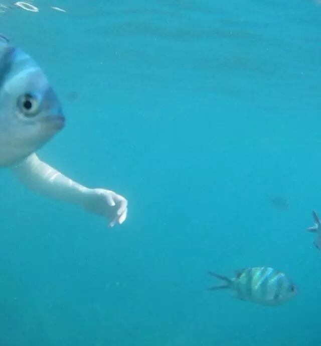 momen pas manusia dengan hewan © Berbagai sumber