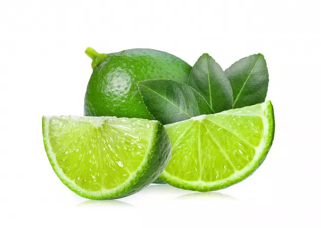 Jenis tanaman obat tradisional freepik.com