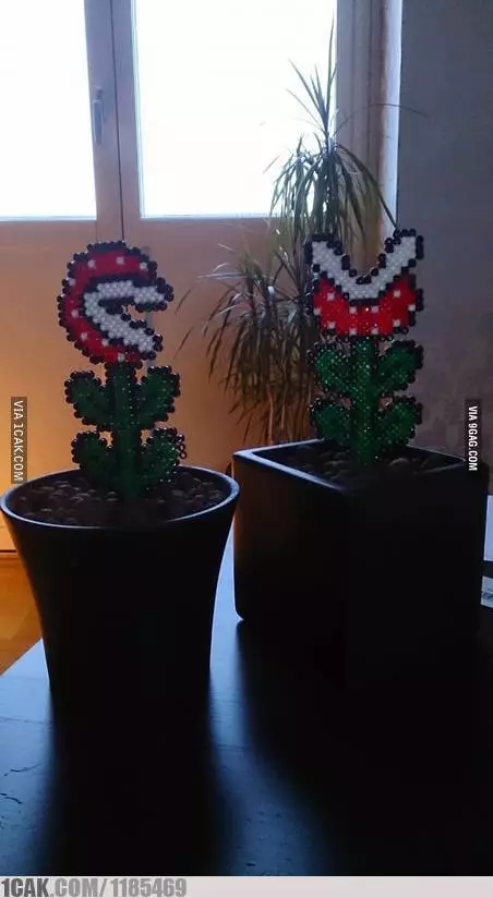 tanaman nyeleneh menipu mata © Berbagai sumber