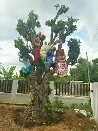 tanaman nyeleneh menipu mata © Berbagai sumber