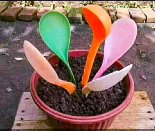 tanaman nyeleneh menipu mata © Berbagai sumber