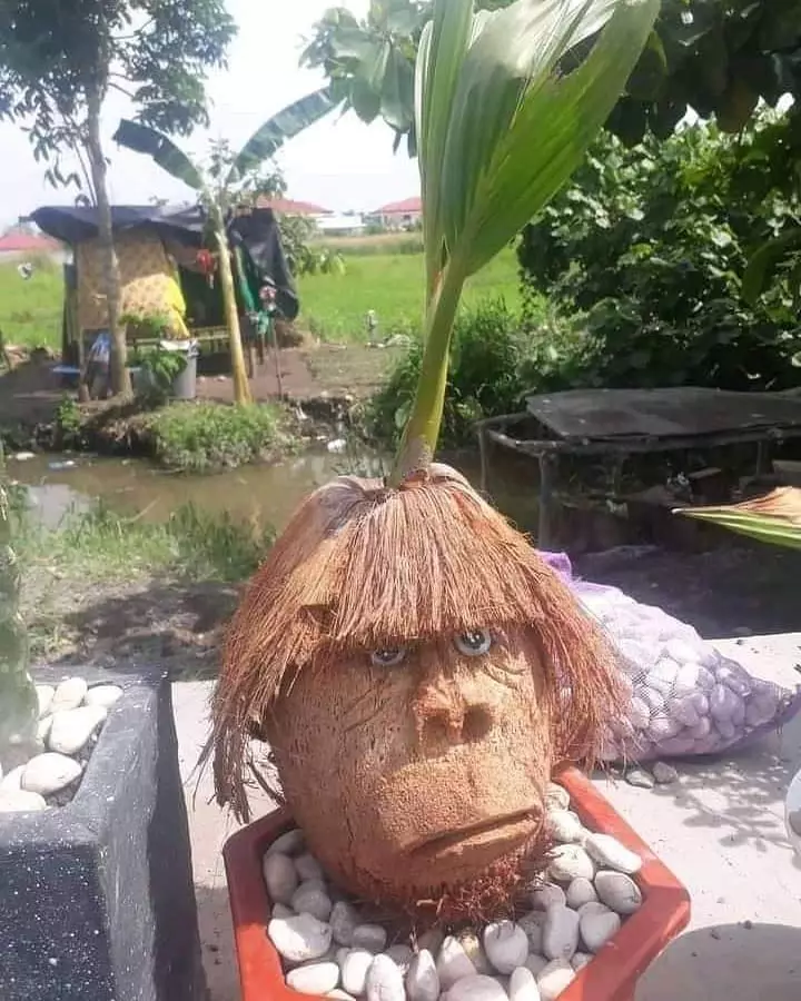 tanaman nyeleneh menipu mata © Berbagai sumber