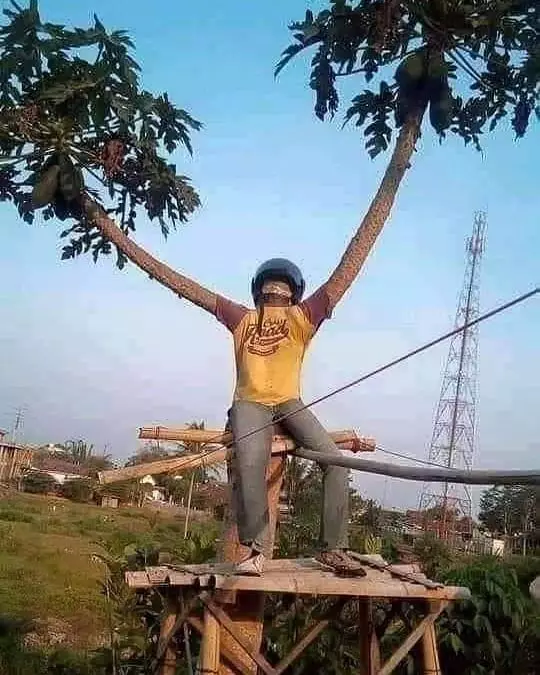 tanaman nyeleneh menipu mata © Berbagai sumber