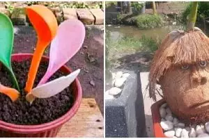 20 Potret tanaman nyeleneh ini bentuknya menipu mata, absurd abis