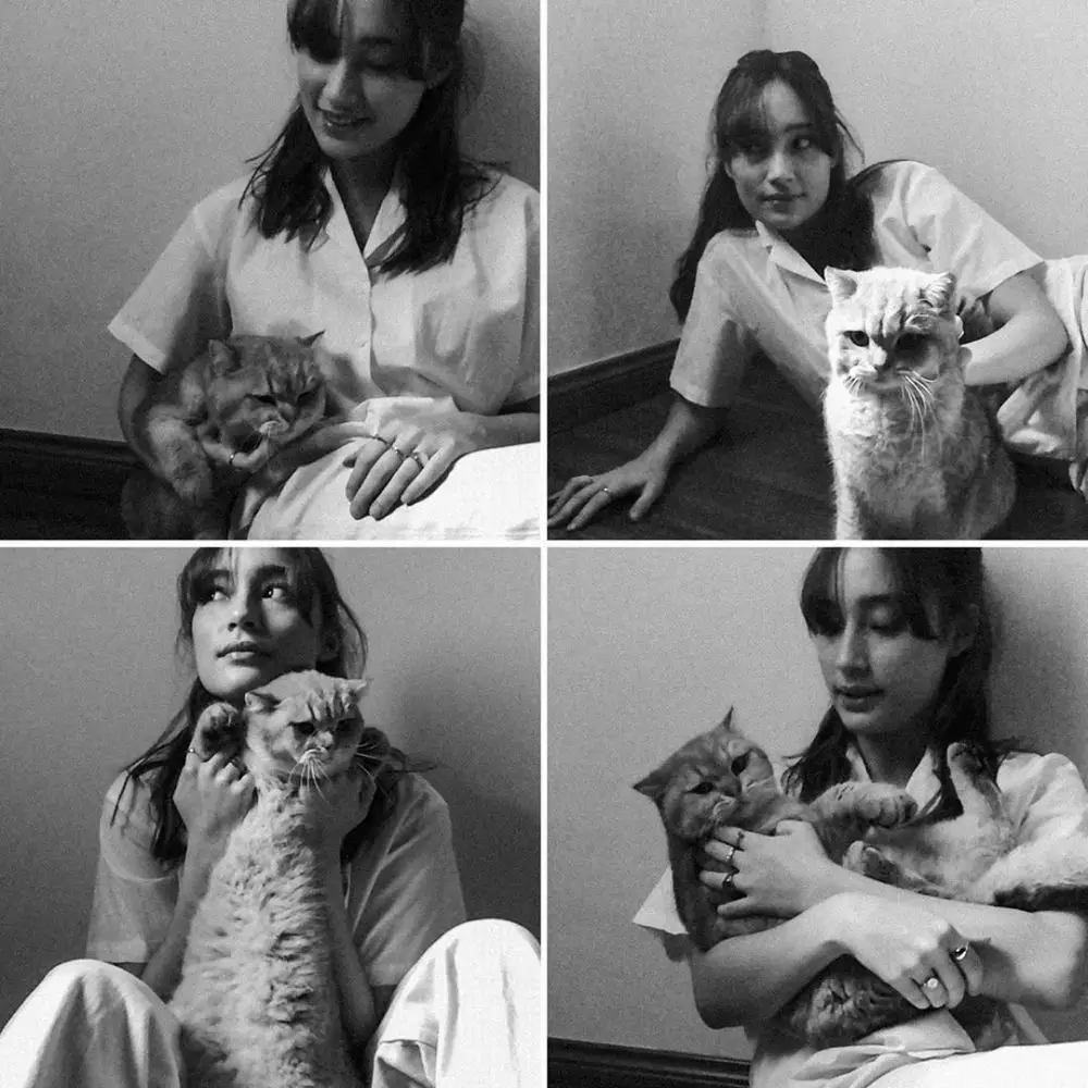 pemotretan seleb bareng kucing © Instagram pemotretan seleb bareng kucing © Instagram