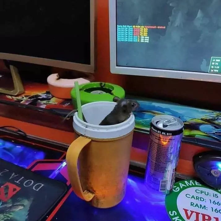 Potret absurd minuman berbagai sumber