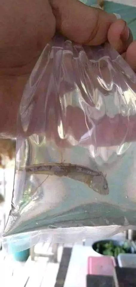 Potret absurd minuman berbagai sumber