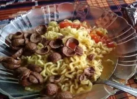 paduan makanan yang absurd Berbagai sumber