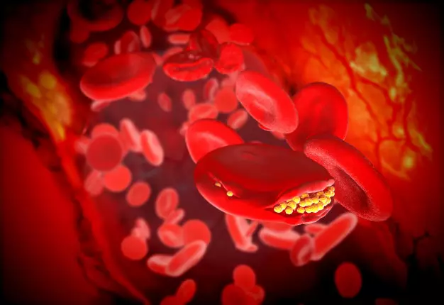 manfaat kacang tanahmanfaat kacang tanah © 2020 brilio.net/ freepik.com