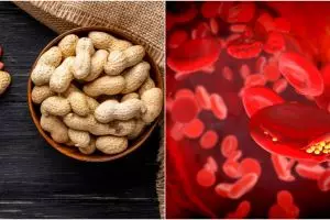 8 Manfaat kacang tanah untuk kesehatan, menurunkan kolesterol