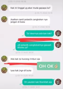 beli tanaman online © TikTok