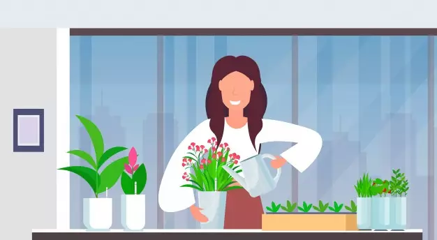 cara merawat lidah buaya © 2020 brilio.net