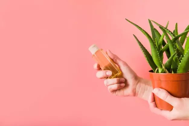 cara merawat lidah buaya © 2020 brilio.net