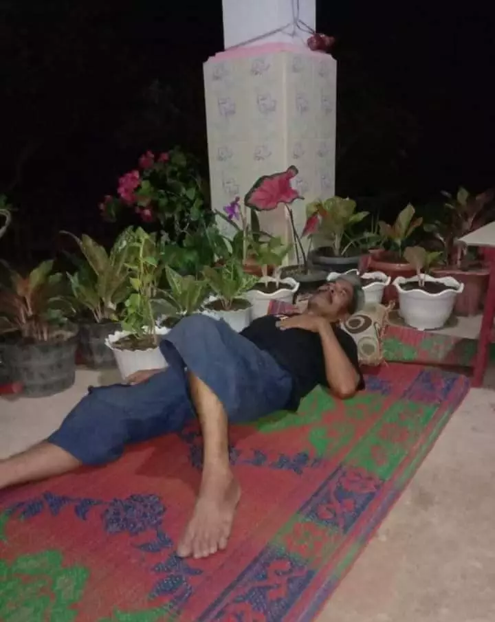 telanjur cinta tanaman hias © Berbagai sumber