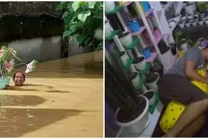 8 Tingkah lucu ketika orang sudah telanjur cinta tanaman hias, kocak