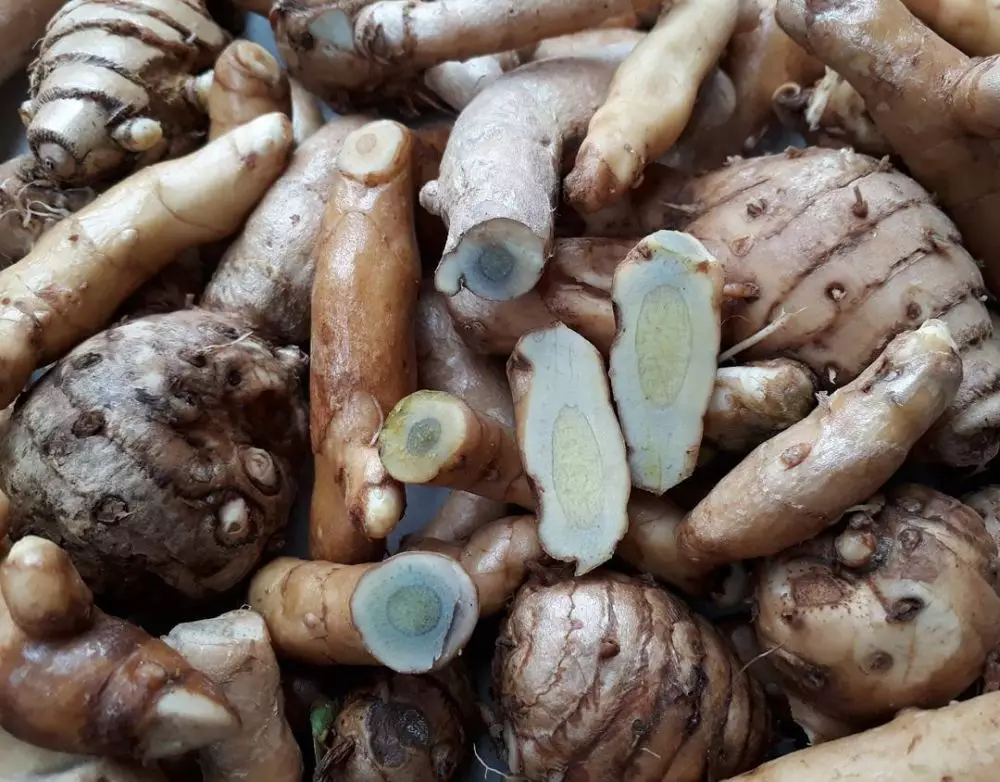 Bahan herbal untuk ibu hamil © 2020 brilio.net