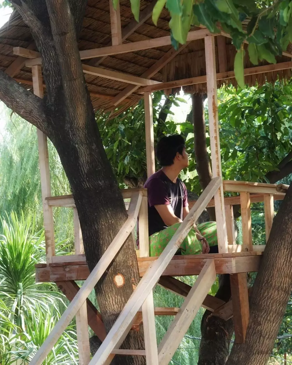 rumah pohon Cakra Khan © Instagram rumah pohon Cakra Khan © Instagram