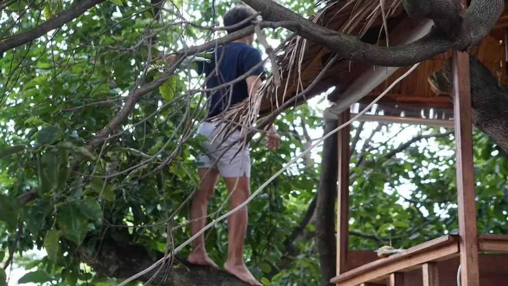 rumah pohon Cakra Khan © Instagram rumah pohon Cakra Khan © Instagram