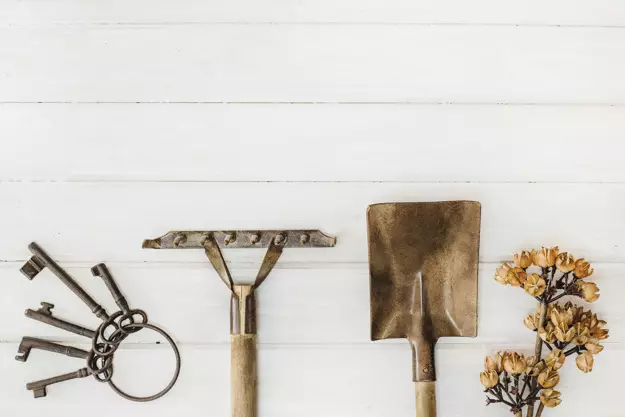 menanam rumput gajah mini © 2020 brilio.net menanam rumput gajah mini © 2020 brilio.net