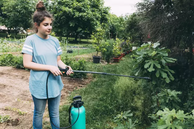 menanam rumput gajah mini © 2020 brilio.net menanam rumput gajah mini © 2020 brilio.net