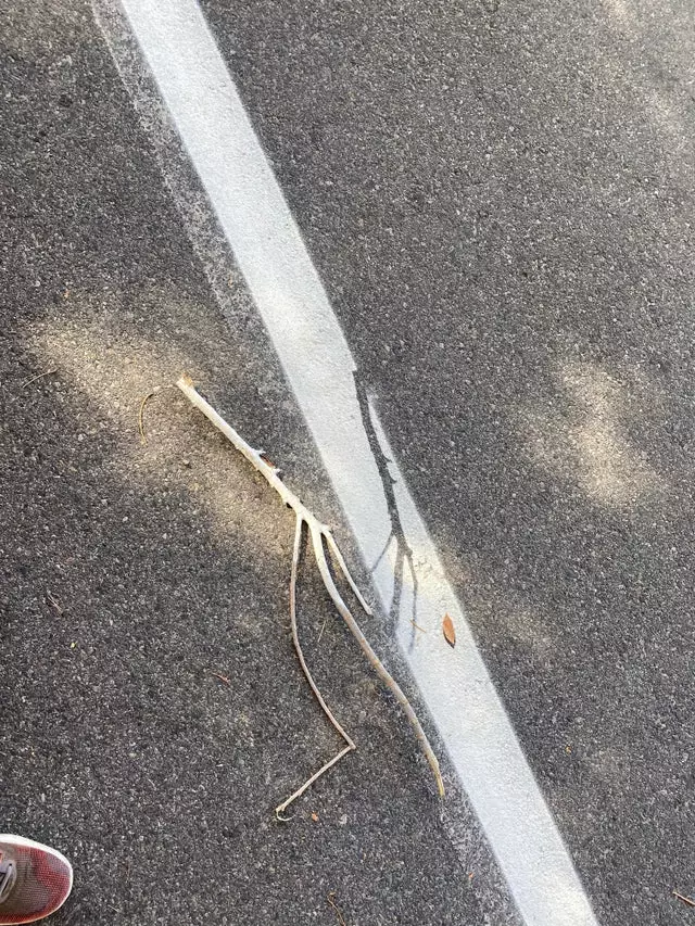 desain marka di pinggir jalan © Reddit