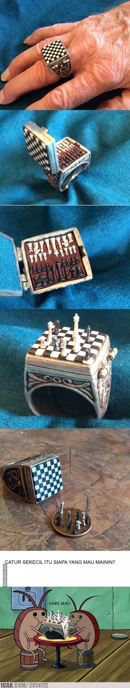 papan catur antimainstream © Berbagai sumber