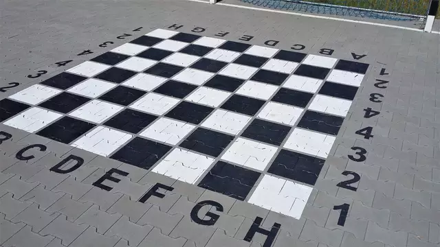 papan catur antimainstream © Berbagai sumber