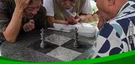 papan catur antimainstream © Berbagai sumber