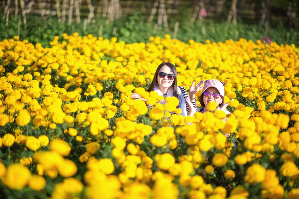 Jauh dari keramaian, 5 spot agrowisata Bali ini cocok untuk keluarga berbagai sumber Jauh dari keramaian, 5 spot agrowisata Bali ini cocok untuk keluarga berbagai sumber