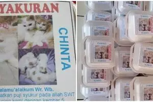 Kucingnya melahirkan, cowok ini gelar acara syukuran