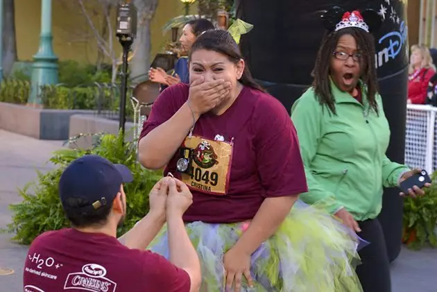 gagal foto keren karena photobomb Berbagai sumber gagal foto keren karena photobomb Berbagai sumber
