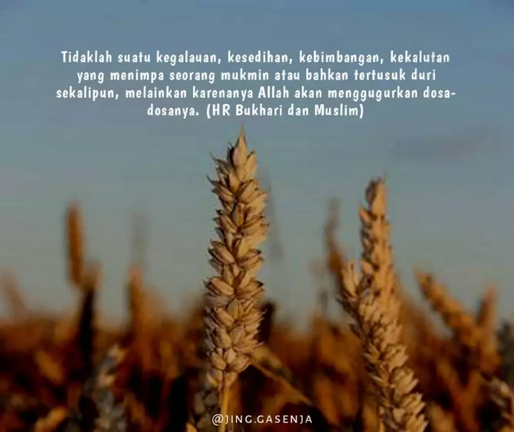 Kata-kata mutiara simpel dan bijak © 2020 brilio.net/ Instagram