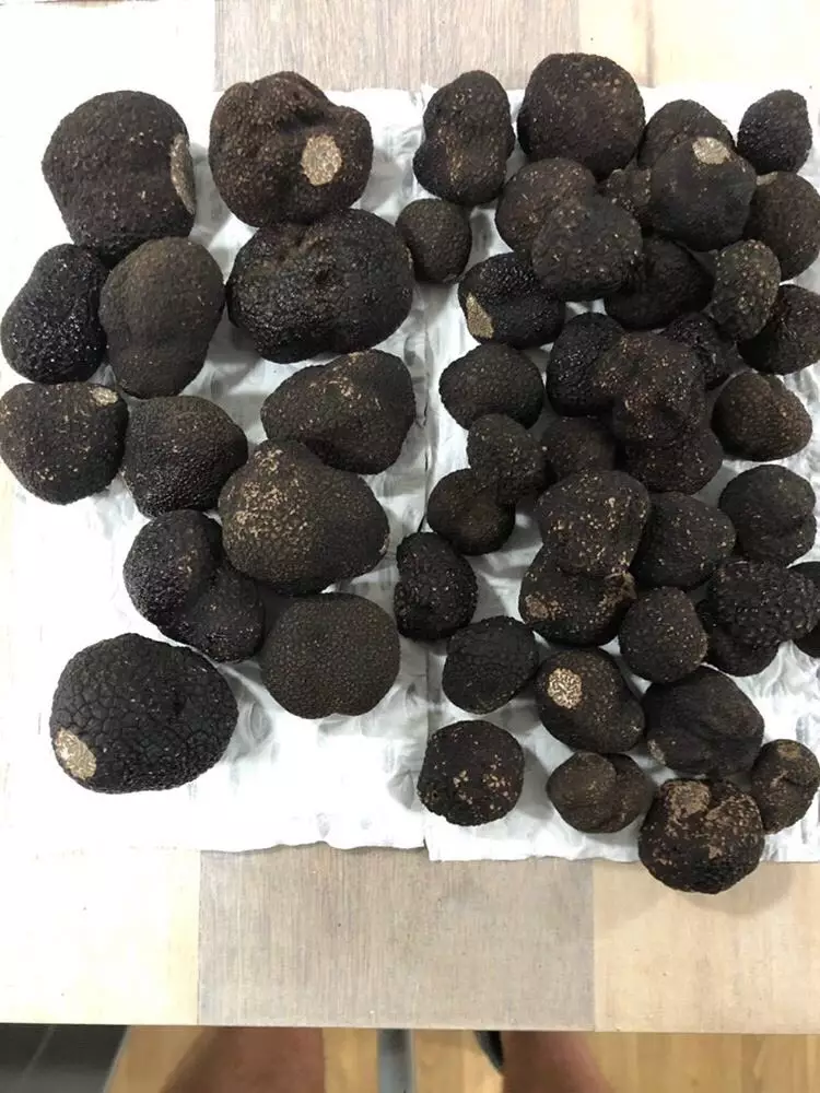 Viral 6 harga menu olahan Chef Arnold Instagram