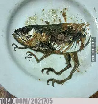 orang makan ikan kocak © Berbagai Sumber orang makan ikan kocak © Berbagai Sumber