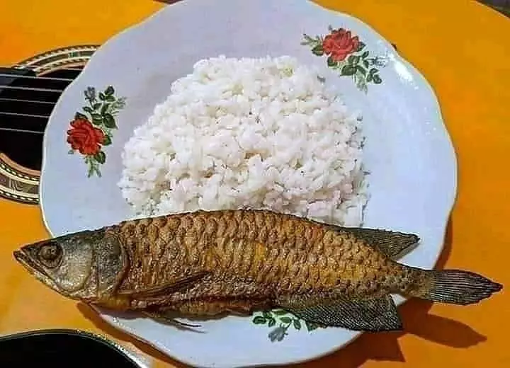 orang makan ikan kocak © Berbagai Sumber orang makan ikan kocak © Berbagai Sumber