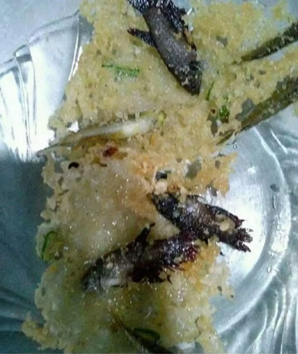 orang makan ikan kocak © Berbagai Sumber orang makan ikan kocak © Berbagai Sumber