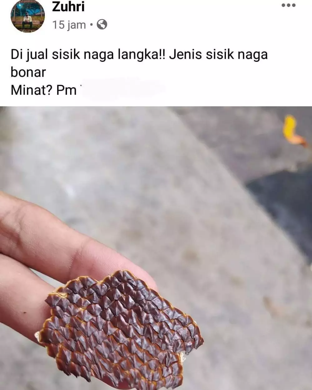 barang dagangan nyeleneh © Berbagai Sumber