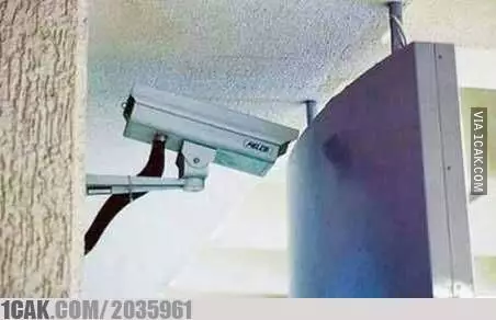 potret absurd cctv © Berbagai Sumber