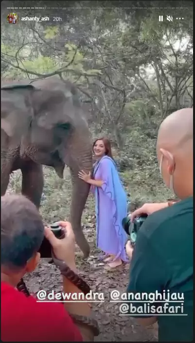 pemotretan Ashanty dengan gajah © 2020 brilio.net/ Instagram pemotretan Ashanty dengan gajah © 2020 brilio.net/ Instagram