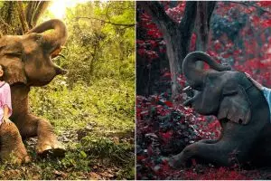 10 Gaya pemotretan Ashanty dengan gajah, hasilnya keren abis