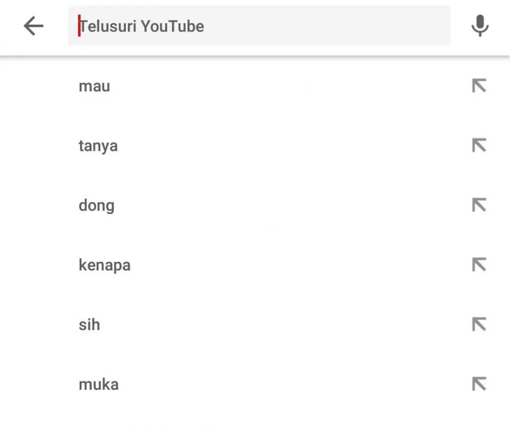 History pencarian YouTube © Twitter