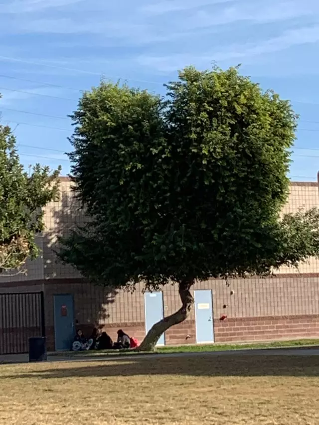 penampakan alam menipu mata © Reddit